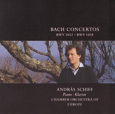 Concerto for Harpsichord, Strings, and Continuo No. 7 in G minor, BWV 1058: 1. --