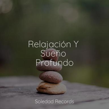 Un Humor De Ambiente