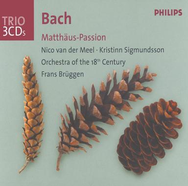 St. Matthew Passion, BWV 244 / Part Two: No.39 Aria (Alto): "Erbarme dich"