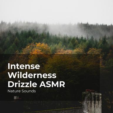 Hush Lush Wilderness