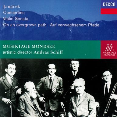 On an Overgrown Path (Po zarostlém chodnicku), JW 8/17 / Book 1: 7. Dobrou noc! (Good Night!)