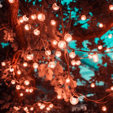 You Are My Lofi Girl