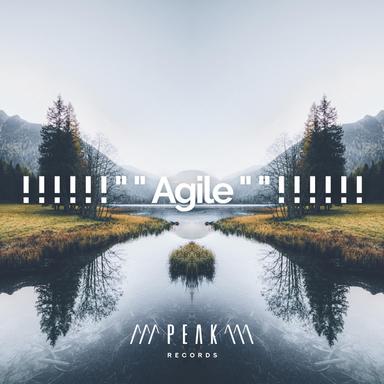 Tropical Night Forest