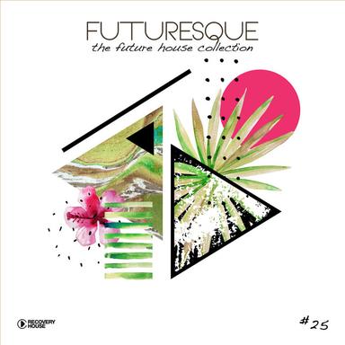Never Coming Down - Extended Mix