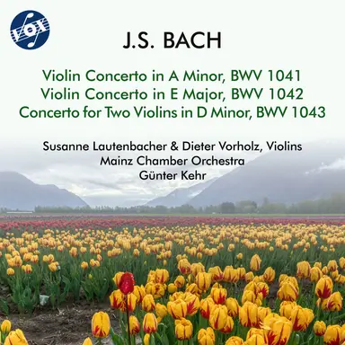 Concerto for 2 Violins in D Minor, BWV 1043: I. Vivace