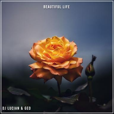Beautiful Life - Radio Edit