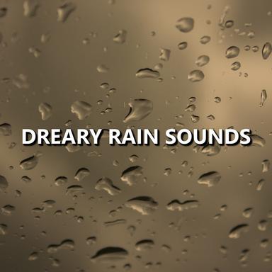 Select Dawn Rain Sounds