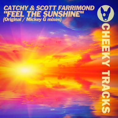 Feel The Sunshine - Radio Edit