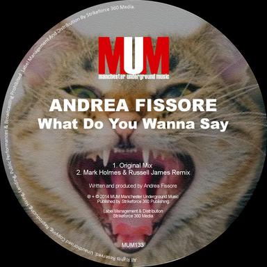 What Do You Wanna Say - Mark Holmes & Russell James Remix