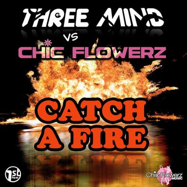 Catch a Fire - Sunlight Edit