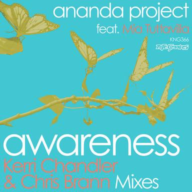 Awareness