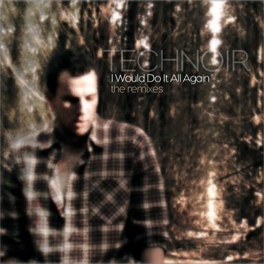 I Would Do It All Again - Sandro Van Thun Remix