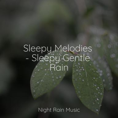 Soft Rain & Gentle Thunder