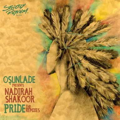 Pride (Johnny D Remix) - Osunlade Presents Nadirah Shakoor