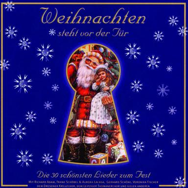 Weißer Winterwald