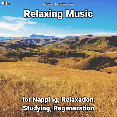 Music for Toddlers and Parents