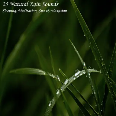Light Rain, Heavy Thunder
