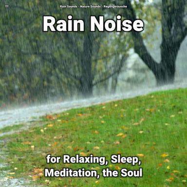 Sweet Rain Noise
