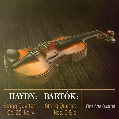 String Quartet in D Major, Op. 20, No. 4 : II. Un poco Adagio Affettuoso