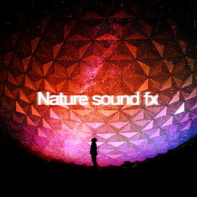 Shelter from the Rain