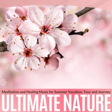 Aroma Of The Essentials - Original Mix