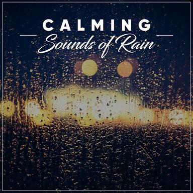 Delicate Rain Patter