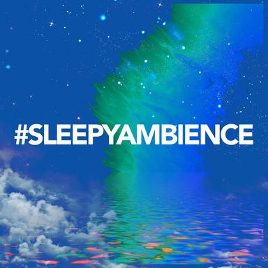 Camping in the Woods