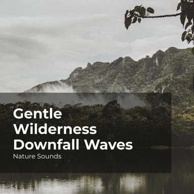 Gentle Wilderness Downfall Waves