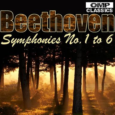 Symphony No. 5 in C Minor, Op. 67: II. Andante con moto