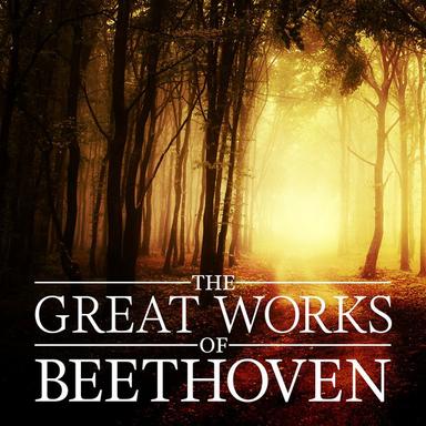 Symphony No. 9 in D Minor, Op. 125, "Choral": IV. Finale: Presto (Ode to Joy)