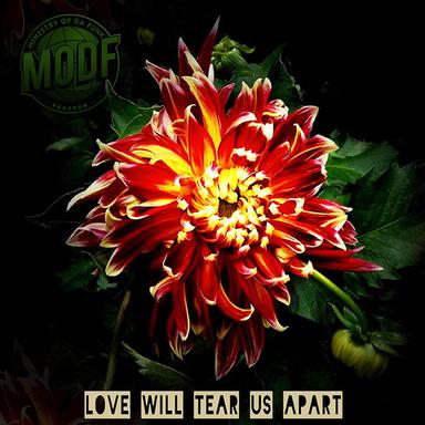 Love Will Tear Us Apart