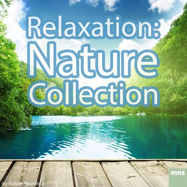Deep Meditation