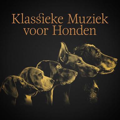 Waltz No. 8 in A-Flat Major, Op. 64 No. 3 / Waltz No. 13 in D-Flat Major, Op. 70 No. 3 / Waltz No. 2 in A-Flat Major, Op. 43 No. 1