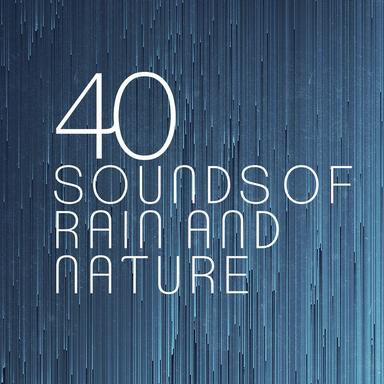 Rain Spatters