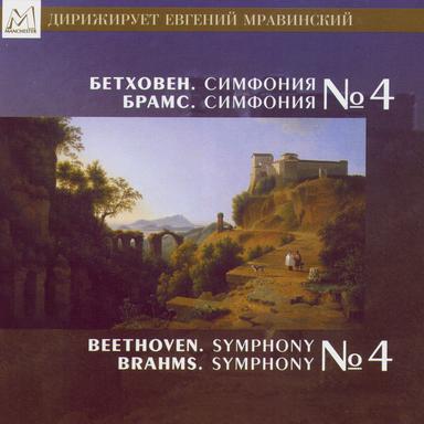 Symphony No. 4 In B Flat Major, Op. 60: Adagio