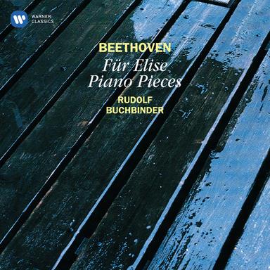 Beethoven: Andante for Piano in C Minor, WoO 211