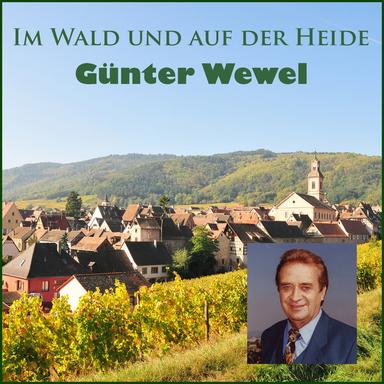 Und ewig rauschen die Wälder