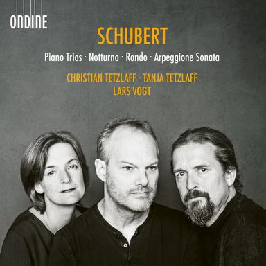 Piano Trio No. 2 in E-Flat Major, Op. 100, D. 929: III. Scherzando. Allegro moderato