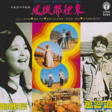 隐藏的情意