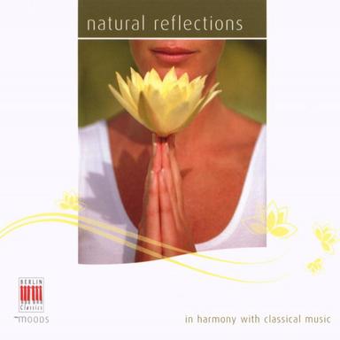 Sonata for Piano No. 14 in C-Sharp Minor, Op. 21 "Moonlight": No. 2, Adagio sostenuto