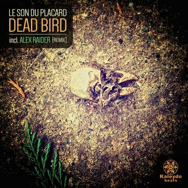 Dead Bird - Alex Raider Remix
