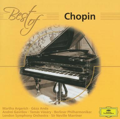 Piano Sonata No. 2 in B flat minor, Op. 35: 3. Marche funèbre (Lento) - Excerpt
