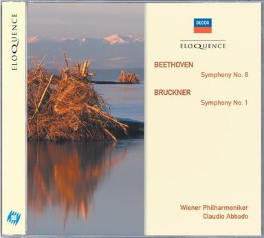 Symphony No. 1 in C Minor, WAB 101 (1877 Rev. Linz Version, Ed. Haas): I. Allegro