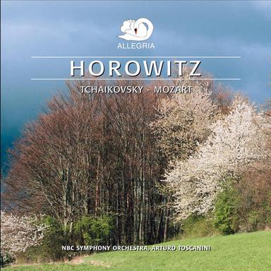 Piano Sonata No. 12 in F Major, K. 332: II. Adagio