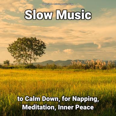 Transcendental Meditation