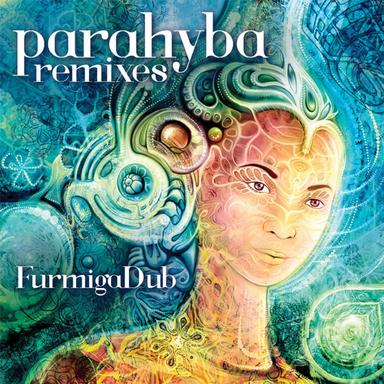 Sou da Bagaceira - FurmigaDub Remix