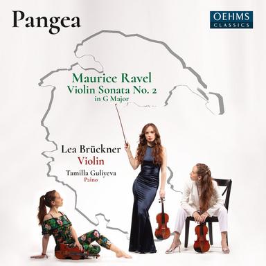 Violin Sonata No. 2 in G Major, M. 77: III. Perpetuum mobile. Allegro