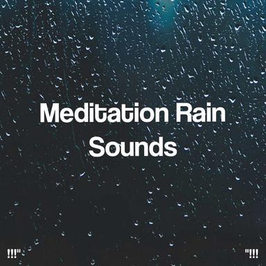 Calming Rain