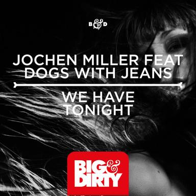We Have Tonight - Festival Mix