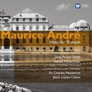 Telemann: Oboe Concerto in F Minor, TWV 51:f1: II. Largo e piano (Transcr. for Trumpet and Orchestra)